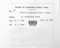 Image Associated With the Occurence